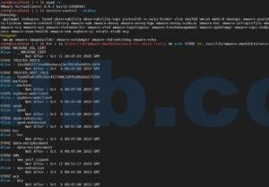 vCenter起不来怎么办?这里有7个VCSA万能的命令