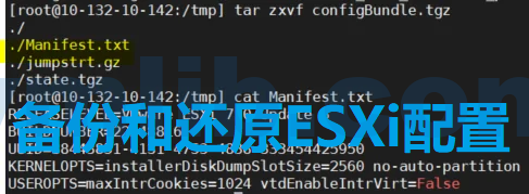 怎么备份ESXi主机配置