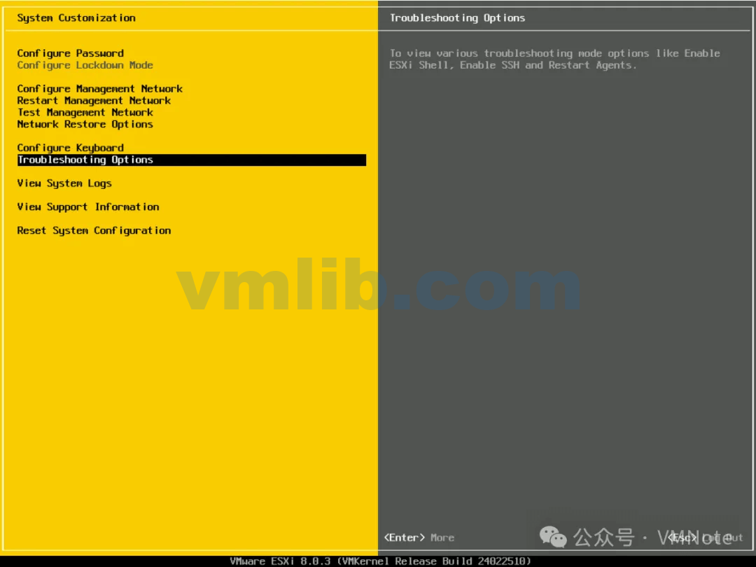 Esxi Shell Access 如何访问VMware ESXi的本地命令行(Shell) - VM技术库