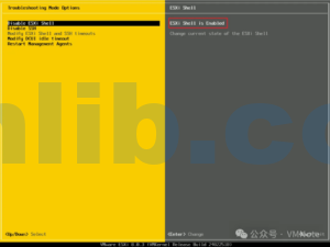 Esxi Shell Access 如何访问VMware ESXi的本地命令行(Shell) - VM技术库