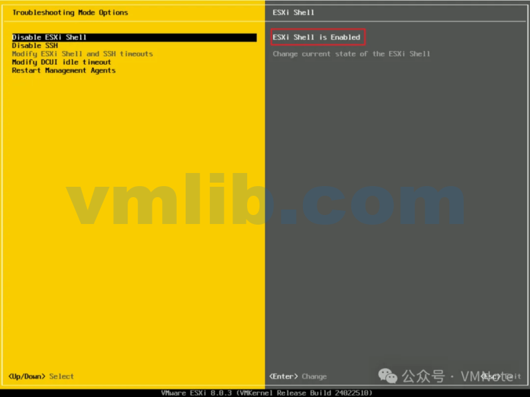 Esxi Shell Access 如何访问VMware ESXi的本地命令行(Shell) - VM技术库