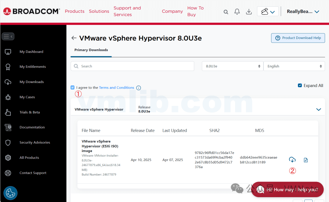 VMware vSphere：Hypervisor（免费版ESXi）又复活了，自带许可密钥且永久免费使用 - VM技术库
