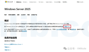 Windows Server 2025:如何从微软官网下载显示语言的安装包?
