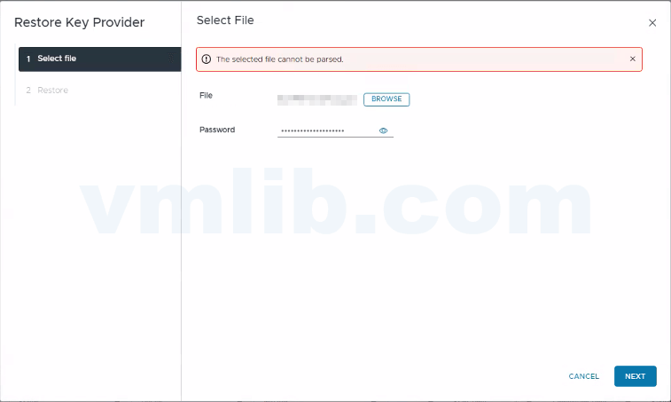 vCenter 8.x Native Key Provider 备份文件解析失败踩坑指南